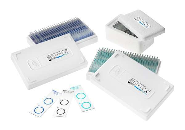 Pro-Slide™ Gram Stain Control PL.4961 — prepared QC slides